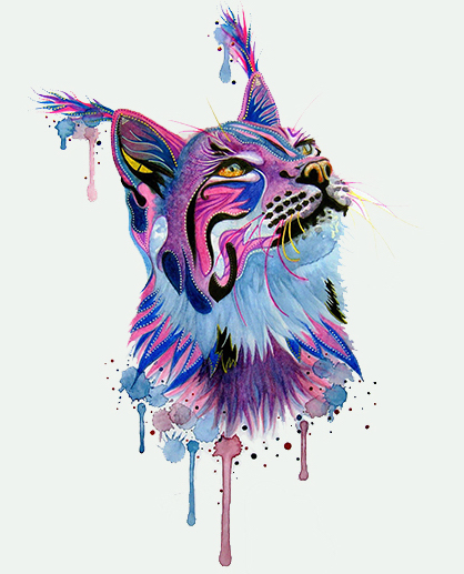 lynx